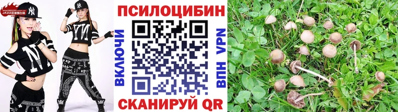 Галлюциногенные грибы мицелий  купить наркоту  KRAKEN ссылка  Свирск 